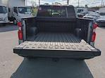 2025 Chevrolet Silverado 1500 Crew Cab 4WD, Pickup for sale #3150115 - photo 27