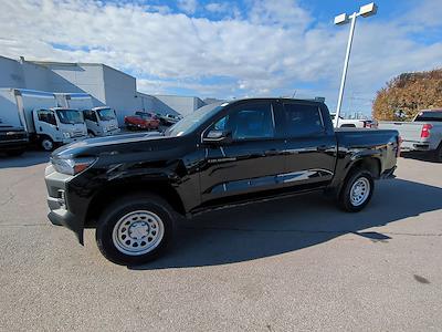 2024 Chevrolet Colorado Crew Cab 4WD, Pickup for sale #F3141131 - photo 1