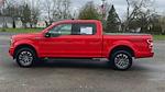 Used 2020 Ford F-150 XLT SuperCrew Cab 4x4, Pickup for sale #4B156S - photo 3