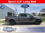 Used 2019 Ford F-150 XLT SuperCrew Cab 4x4, Pickup for sale #KD47065 - photo 9