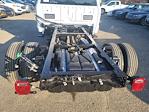 2023 Ford F-450 Regular Cab DRW 4x4, Cab Chassis for sale #23ZC151 - photo 24