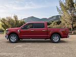 New 2024 Ford F-150 XLT SuperCrew Cab 4x4, Pickup for sale #FE96578 - photo 4