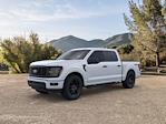 New 2024 Ford F-150 STX SuperCrew Cab 4x4, Pickup for sale #R1544 - photo 1