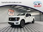 New 2024 Ford F-150 STX SuperCrew Cab 4WD, Pickup for sale #10F1214 - photo 1