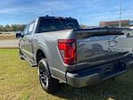 New 2024 Ford F-150 XLT SuperCrew Cab 4WD, Pickup for sale #10F7133 - photo 2