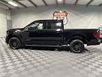 New 2024 Ford F-150 XLT SuperCrew Cab RWD, Pickup for sale #10F8393 - photo 3