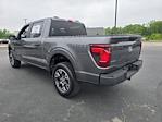 New 2024 Ford F-150 STX SuperCrew Cab 4WD, Pickup for sale #20F28547 - photo 5