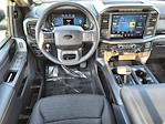 New 2024 Ford F-150 XLT SuperCrew Cab 4WD, Pickup for sale #20F76449 - photo 19