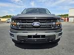 New 2024 Ford F-150 XLT SuperCrew Cab 4WD, Pickup for sale #20F81048 - photo 10