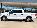 Used 2022 Ford F-150 XLT SuperCrew Cab 4x4, Pickup for sale #11691 - photo 3