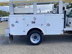 2006 Ford F-450 Regular Cab DRW RWD, Bucket Truck for sale #6ED71576 - photo 7