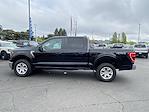 2023 Ford F-150 SuperCrew Cab 4x4, Pickup for sale #243029 - photo 8