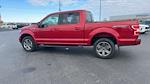 Used 2020 Ford F-150 XLT SuperCrew Cab 4WD, Pickup for sale #23131R - photo 9