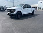 New 2024 Ford F-150 STX SuperCrew Cab 4WD, Pickup for sale #T24363 - photo 3