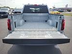 New 2024 Ford F-150 STX SuperCrew Cab 4WD, Pickup for sale #T24379 - photo 13