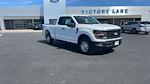 2024 Ford F-150 Super Cab 4WD, Pickup for sale #T24235 - photo 1