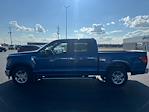 New 2024 Ford F-150 XLT SuperCrew Cab RWD, Pickup for sale #T24311 - photo 10