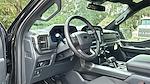 New 2024 Ford F-150 XLT SuperCrew Cab 4x4, Pickup for sale #RKE48264 - photo 35