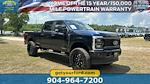 2024 Ford F-250 Crew Cab SRW 4x4, Pickup for sale #RED16206 - photo 3
