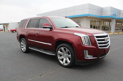 2019 Cadillac Escalade 4WD, SUV for sale #371182A - photo 1