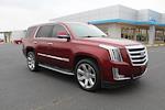 2019 Cadillac Escalade 4WD, SUV for sale #371182A - photo 1