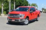 Used 2019 Ford F-150 XLT SuperCrew Cab 4x4, Pickup for sale #52033 - photo 5