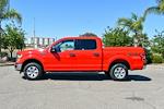 Used 2019 Ford F-150 XLT SuperCrew Cab 4x4, Pickup for sale #52033 - photo 6