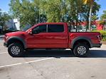 2020 Ford F-150 SuperCrew Cab SRW 4WD, Pickup for sale #FP3510A - photo 7