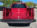 2024 Ford F-150 SuperCrew Cab RWD, Pickup for sale #FR1023 - photo 12