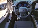 2024 Ford F-150 SuperCrew Cab 4WD, Pickup for sale #FR1346 - photo 15
