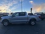 New 2024 Ford F-150 XLT SuperCrew Cab 4x4, Pickup for sale #17S3888 - photo 7