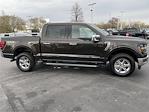 2024 Ford F-150 SuperCrew Cab 4x4, Pickup for sale #248207 - photo 5