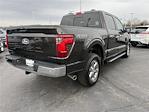 2024 Ford F-150 SuperCrew Cab 4x4, Pickup for sale #248207 - photo 4