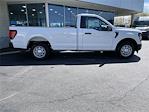2024 Ford F-150 Regular Cab 4x2, Pickup for sale #248227 - photo 5