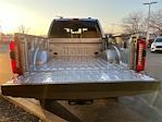 New 2024 Ford F-250 Lariat Crew Cab 4x4, Pickup for sale #248612 - photo 12