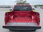 New 2024 Ford F-150 XLT SuperCrew Cab 4WD, Pickup for sale #D240323 - photo 19