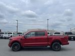 New 2024 Ford F-150 XLT SuperCrew Cab 4WD, Pickup for sale #D240323 - photo 6