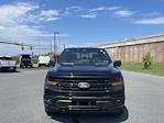 New 2024 Ford F-150 XLT SuperCrew Cab 4WD, Pickup for sale #D240325 - photo 4