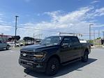 New 2024 Ford F-150 XLT SuperCrew Cab 4WD, Pickup for sale #D240325 - photo 6