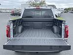 New 2024 Ford F-150 XLT SuperCrew Cab 4WD, Pickup for sale #D240401 - photo 19