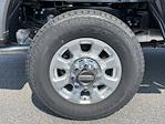 New 2024 Ford F-250 XLT Crew Cab 4WD, Pickup for sale #D240402 - photo 10