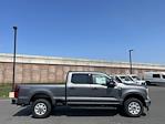 New 2024 Ford F-250 XLT Crew Cab 4WD, Pickup for sale #D240402 - photo 11