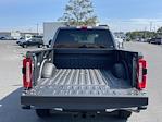 New 2024 Ford F-250 XLT Crew Cab 4WD, Pickup for sale #D240402 - photo 19