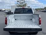 New 2024 Ford F-150 XLT SuperCrew Cab 4WD, Pickup for sale #D240410 - photo 19