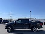 New 2024 Ford F-150 STX SuperCrew Cab 4WD, Pickup for sale #D240425 - photo 6