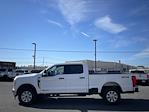 New 2024 Ford F-350 XLT Crew Cab 4WD, Pickup for sale #D240452 - photo 7