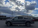 New 2024 Ford F-150 STX SuperCrew Cab 4WD, Pickup for sale #D240470 - photo 5