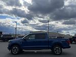 New 2024 Ford F-150 STX SuperCrew Cab 4WD, Pickup for sale #D240472 - photo 5