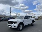 New 2024 Ford Ranger XL SuperCrew Cab 4WD, Pickup for sale #D240483 - photo 3