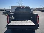 New 2024 Ford F-250 XL Crew Cab 4WD, Pickup for sale #D240495 - photo 19